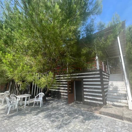פיזונדה Mini-Hotel Forest Club מראה חיצוני תמונה