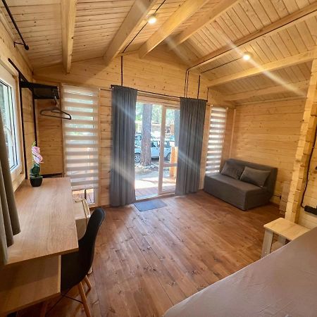 פיזונדה Mini-Hotel Forest Club מראה חיצוני תמונה
