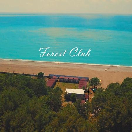 פיזונדה Mini-Hotel Forest Club מראה חיצוני תמונה