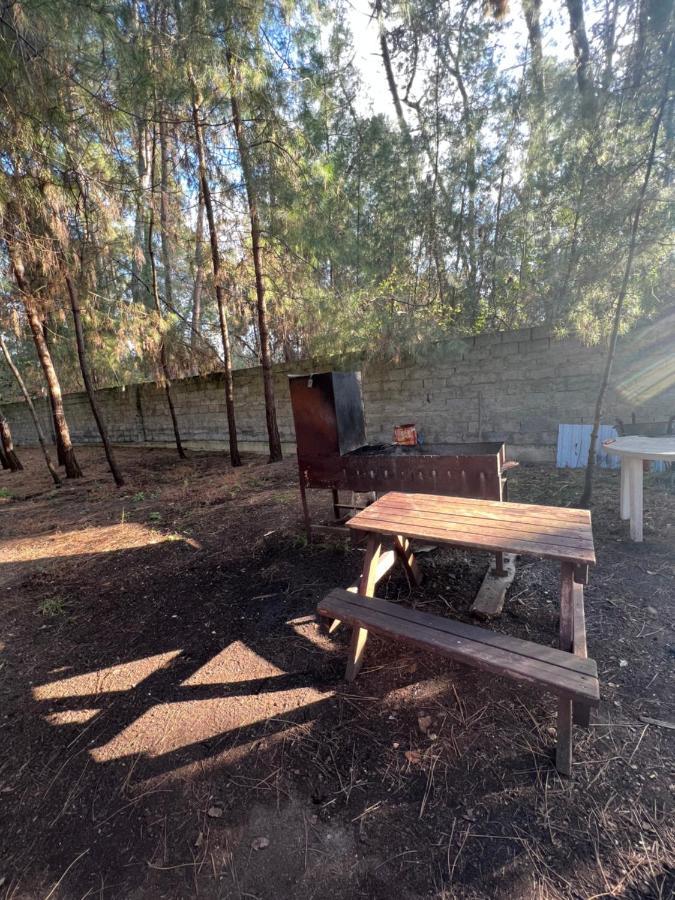 פיזונדה Mini-Hotel Forest Club מראה חיצוני תמונה
