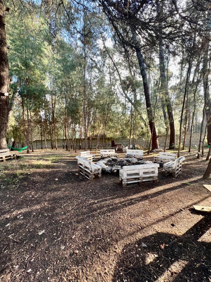 פיזונדה Mini-Hotel Forest Club מראה חיצוני תמונה