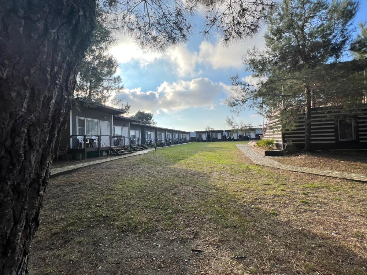 פיזונדה Mini-Hotel Forest Club מראה חיצוני תמונה