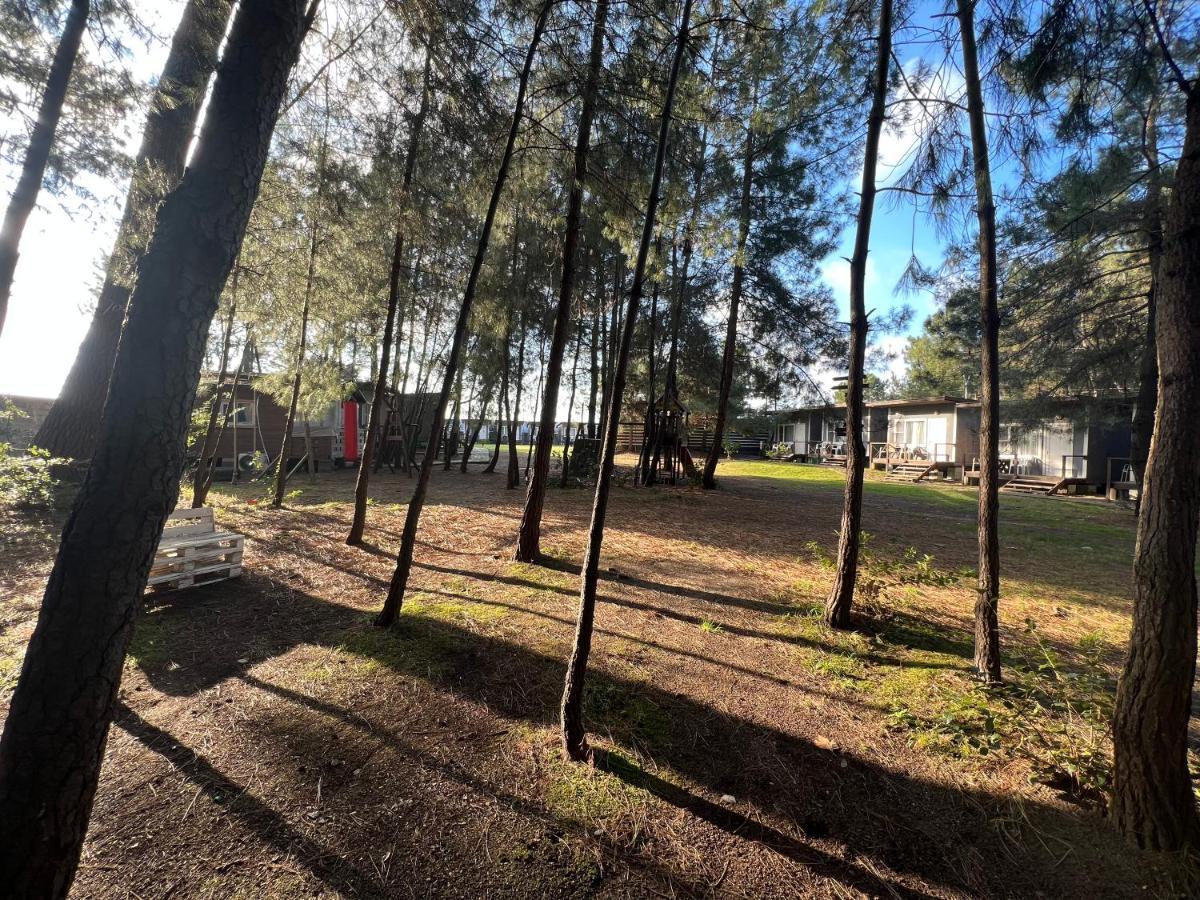 פיזונדה Mini-Hotel Forest Club מראה חיצוני תמונה