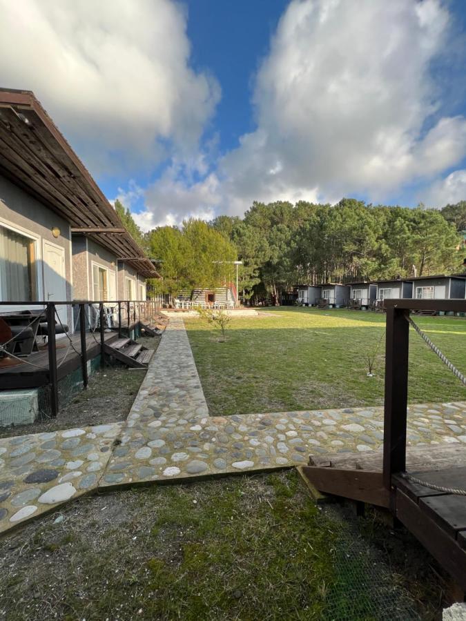פיזונדה Mini-Hotel Forest Club מראה חיצוני תמונה