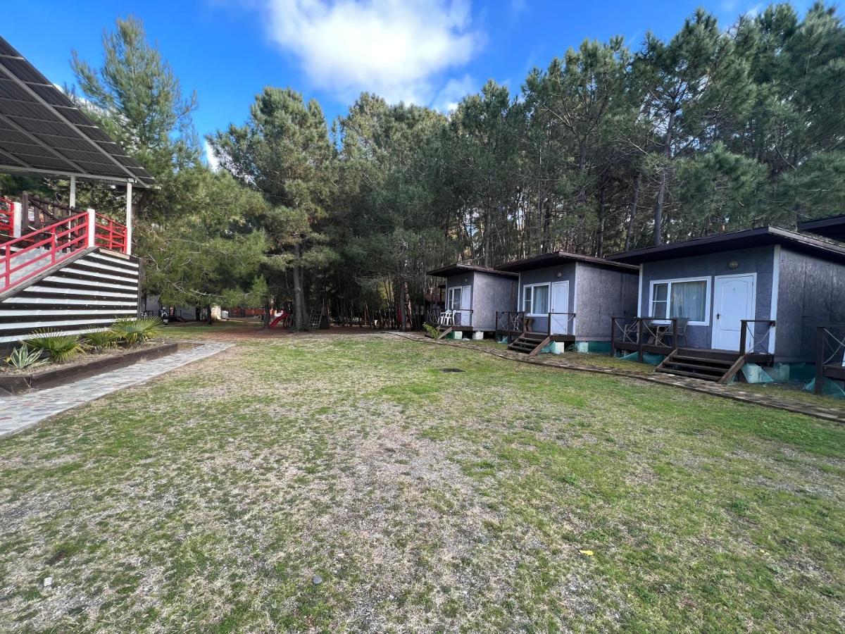 פיזונדה Mini-Hotel Forest Club מראה חיצוני תמונה