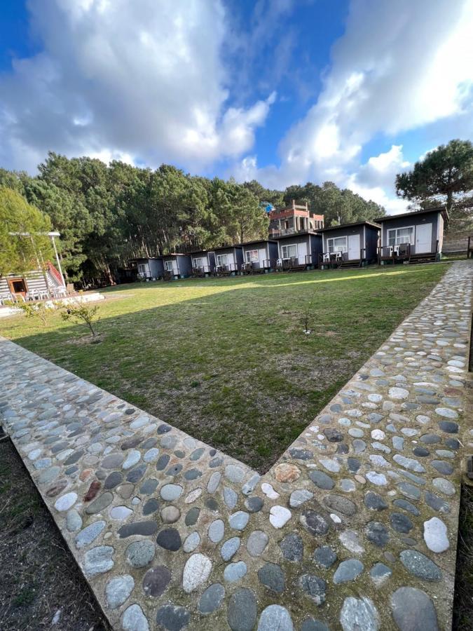 פיזונדה Mini-Hotel Forest Club מראה חיצוני תמונה