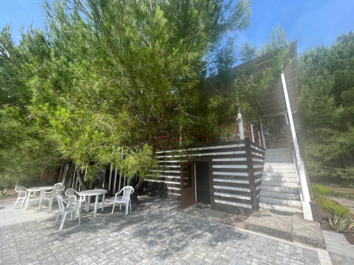 פיזונדה Mini-Hotel Forest Club מראה חיצוני תמונה