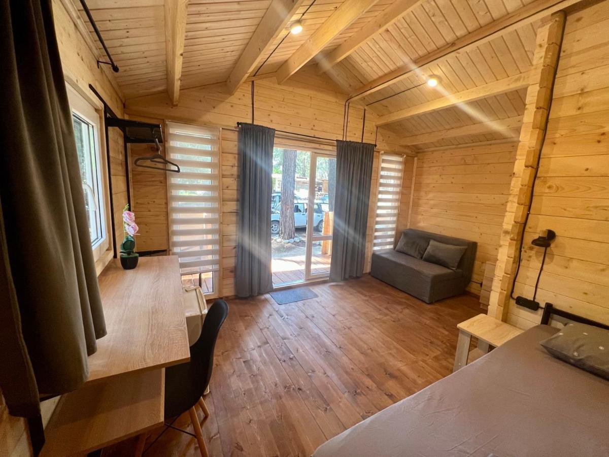 פיזונדה Mini-Hotel Forest Club מראה חיצוני תמונה