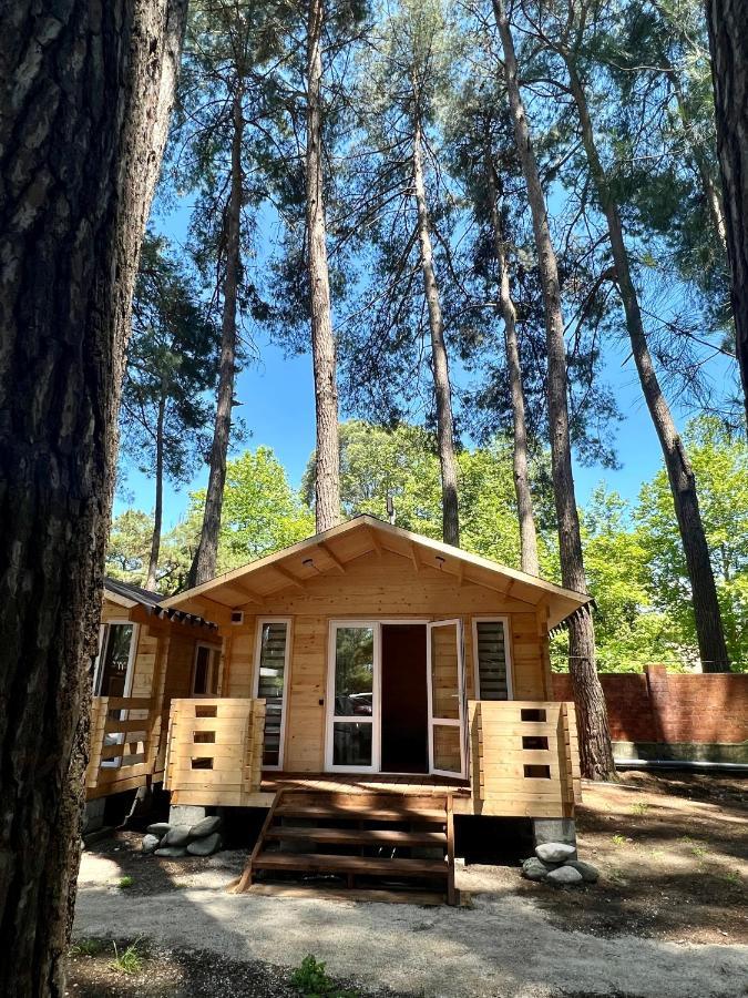 פיזונדה Mini-Hotel Forest Club מראה חיצוני תמונה