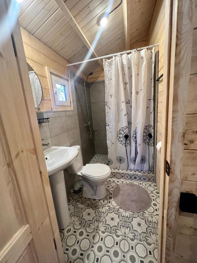 פיזונדה Mini-Hotel Forest Club מראה חיצוני תמונה