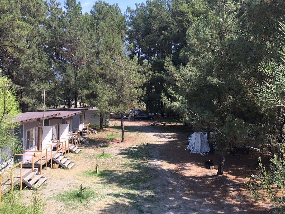 פיזונדה Mini-Hotel Forest Club מראה חיצוני תמונה
